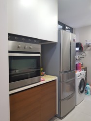 The Miltonia Residences (D27), Condominium #163028882